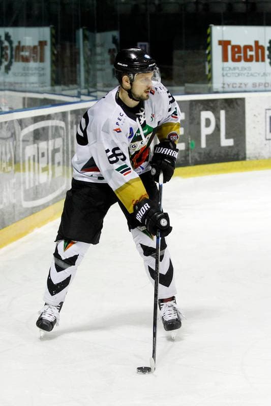 Ice Hockey. Polska Hokej Liga. GKS Tychy - PGE Orlik Opole. 13.01.2019