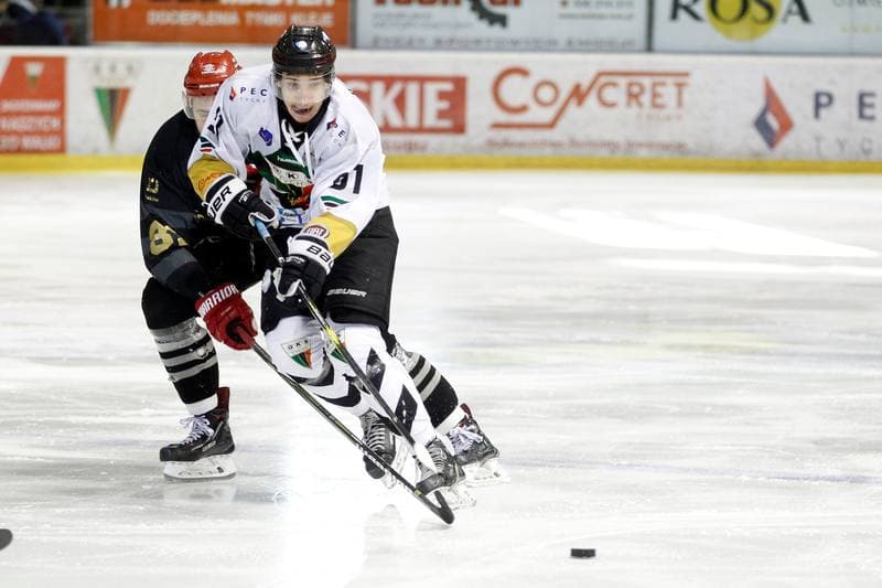 Ice Hockey. PHL. GKS Tychy - Comarch Cracovia. 02.04.2019