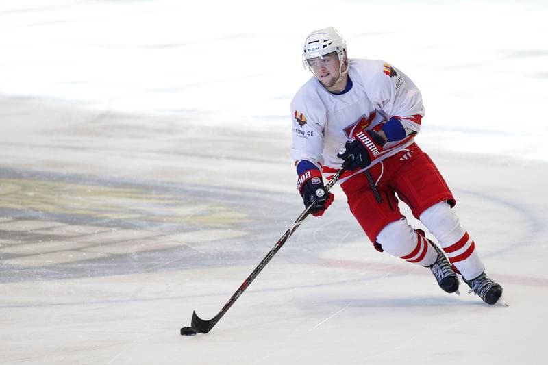 Ice Hockey. Poland U20. Training. 06.11.2018