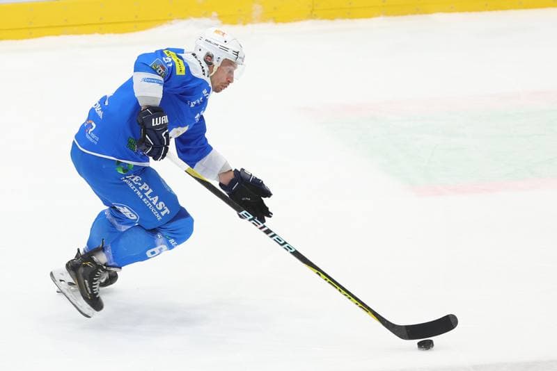 Ice Hockey. Tauron Hokej Liga. Zaglebie Sosnowiec - Re-Plast Unia Oswiecim. 22.12.2023