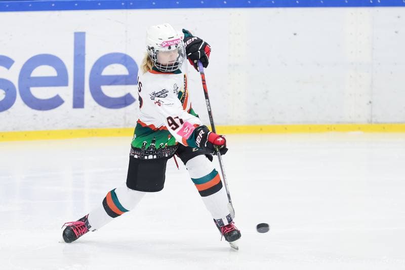 Ice Hockey. Tauron Liga Kobiet. Kojotki Naprzod Janow - Kozice Poznan. 20.01.2024