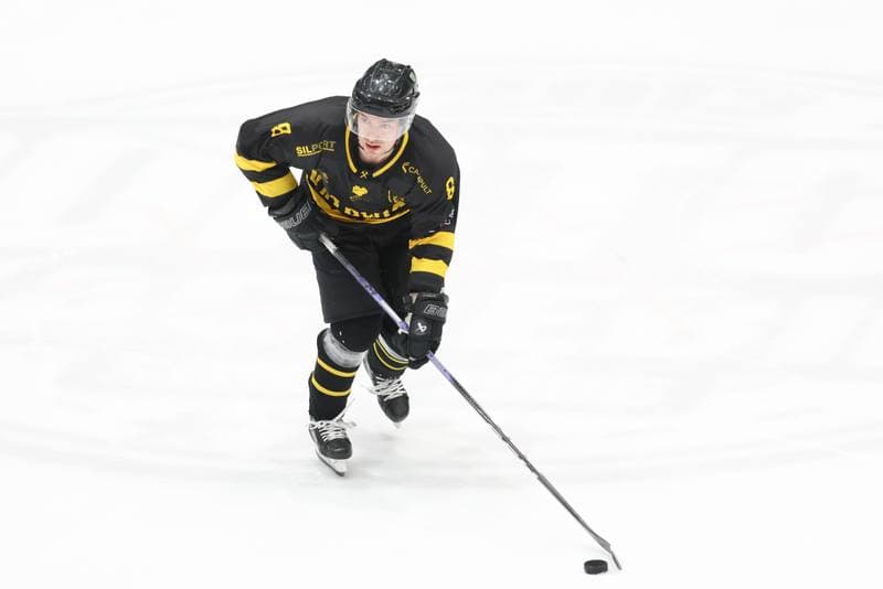 Ice Hockey. Tauron Hokej Liga. Zaglebie Sosnowiec - GKS Katowice. 21.01.2024