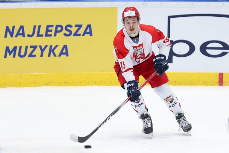 Ice Hockey. Friendly Match. Poland - South Korea. 05.02.2024