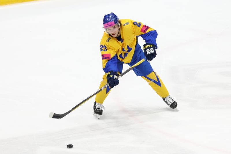 Ice Hockey. Olympic Qualification. Poland - Ukraine. 09.02.2024