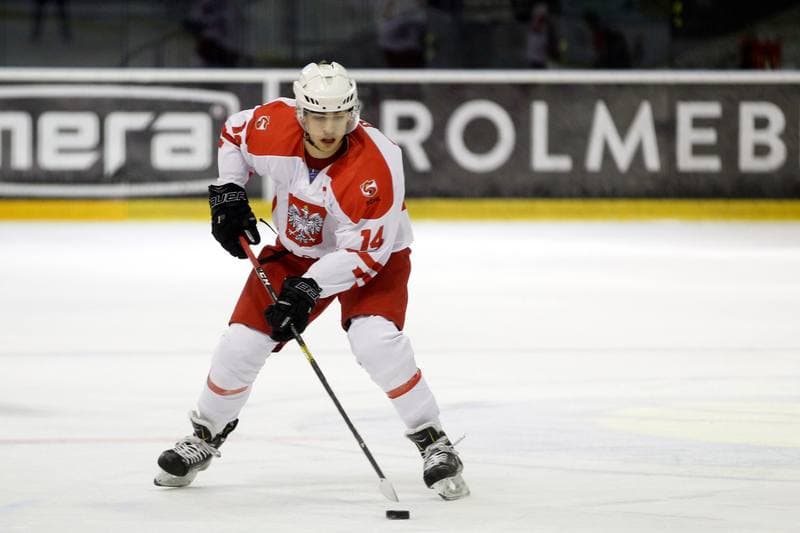 Ice Hockey. U20 World Championship Division I. Poland - Japan. 12.12.2018