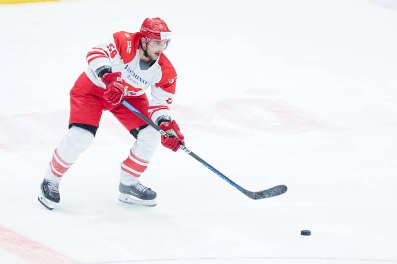 Ice Hockey. Friendly Match. Poland - Hungary. 12.04.2024