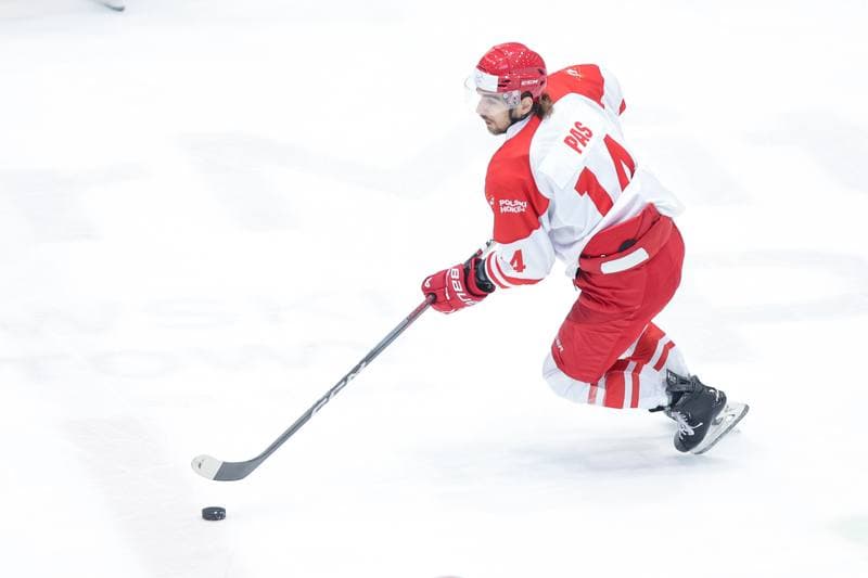 Ice Hockey. Friendly Match. Poland - Denmark. 07.05.2024