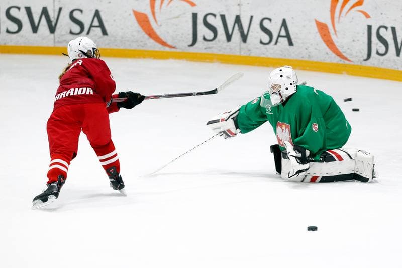Ice Hockey. Women's U18 National Team. Training. 03.01.2019