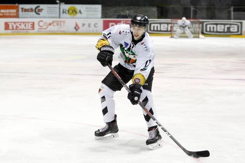 Ice Hockey. Polska Hokej Liga. GKS Tychy - Zaglebie Sosnowiec. 04.01.2019