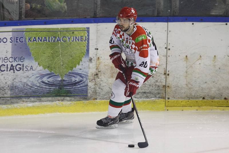 Ice Hockey. Polska Hokej Liga. Zaglebie Sosnowiec - Comarch Cracovia. 22.01.2019