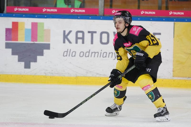 Ice Hockey. Polska Hokej Liga. Tauron KH GKS Katowice - Comarch Cracovia. 17.03.2019