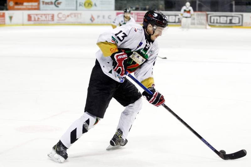 Ice Hockey. Polska Hokej Liga. GKS Tychy - TatrySki Podhale Nowy Targ. 18.03.2019