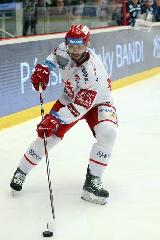 Ice Hockey. Tipsport Extraliga. Ocelari Trinec - Skoda Plzen. 04.04.2019