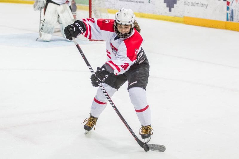 Ice Hockey. EWHL. Silesia Brackens - EVB Eagles. 28.09.2019