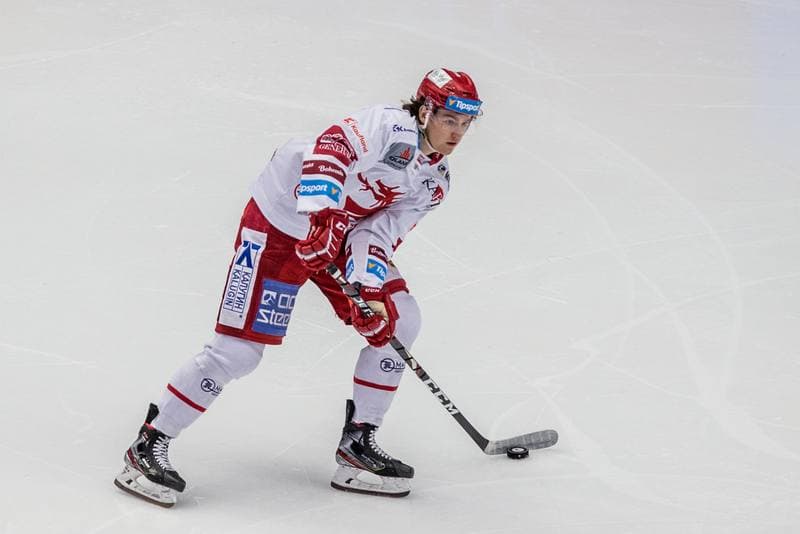Ice Hockey. Tipsport Extraliga. Ocelari Trinec - Vitkovice Ridera. 21.11.2019