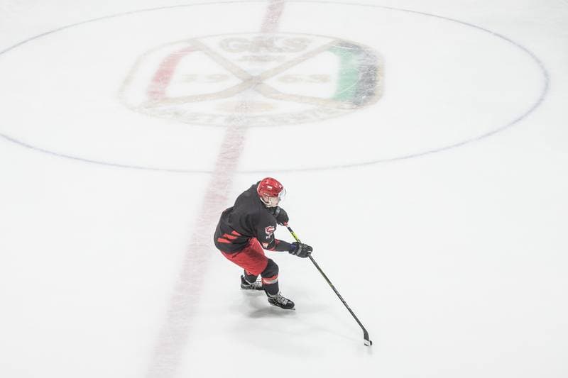 Ice Hockey. Poland national team. Training. 02.05.2021
