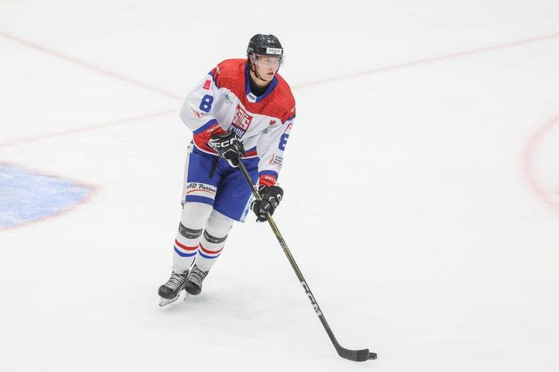 Ice Hockey. Tauron Hokej Liga. Zaglebie Sosnowiec - Marma Ciarko STS Sanok. 17.09.2023