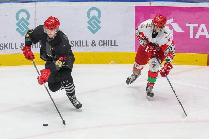 Ice Hockey. Tauron Hokej Liga. Zaglebie Sosnowiec - Comarch Cracovia. 19.11.2023