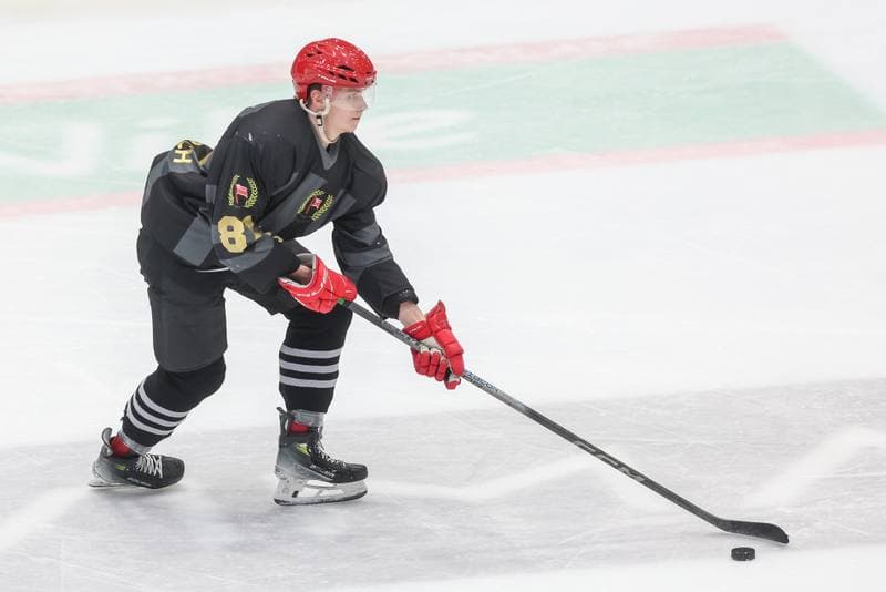 Ice Hockey. Tauron Hokej Liga. Zaglebie Sosnowiec - Comarch Cracovia. 19.11.2023
