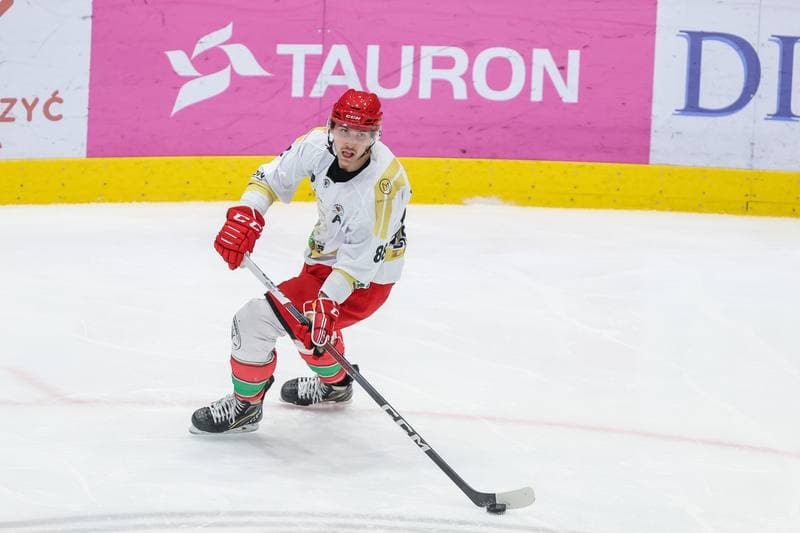 Ice Hockey. Tauron Hokej Liga. Zaglebie Sosnowiec - GKS Tychy. 20.12.2023