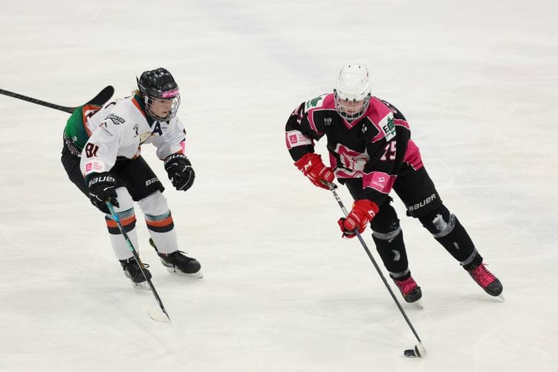 Ice Hockey. Tauron Liga Kobiet. Kojotki Naprzod Janow - Kozice Poznan. 20.01.2024