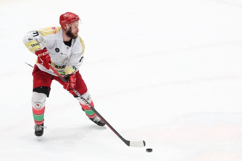 Ice Hockey. Tauron Hokej Liga. Zaglebie Sosnowiec - GKS Katowice. 21.01.2024