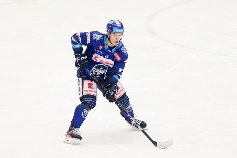 Ice Hockey. Tipsport Extraliga. Ocelari Trinec - Rytri Kladno. 31.01.2024
