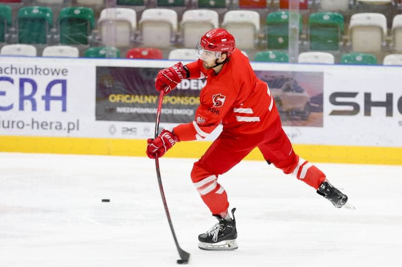 Ice Hockey. Poland national team. Training. 03.02.2024
