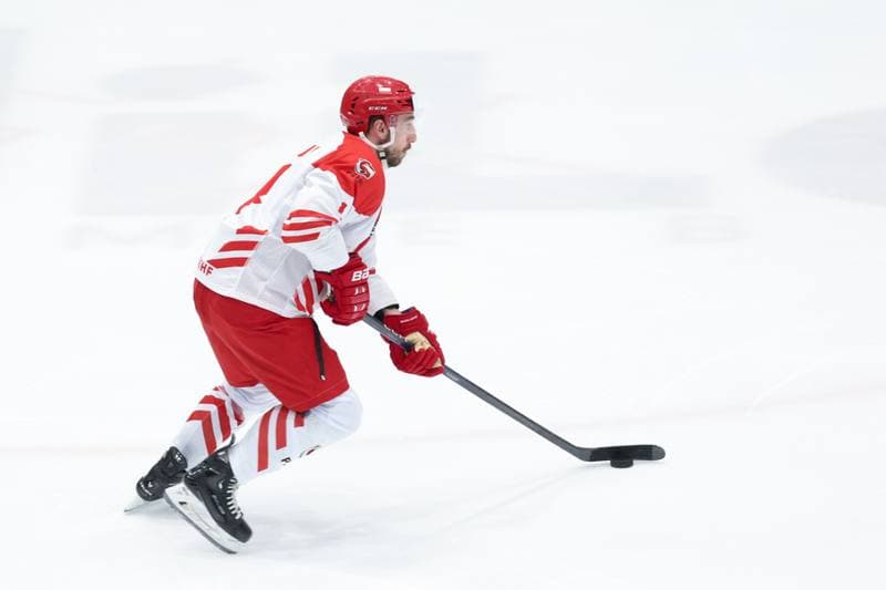 Ice Hockey. Friendly Match. Poland - South Korea. 05.02.2024