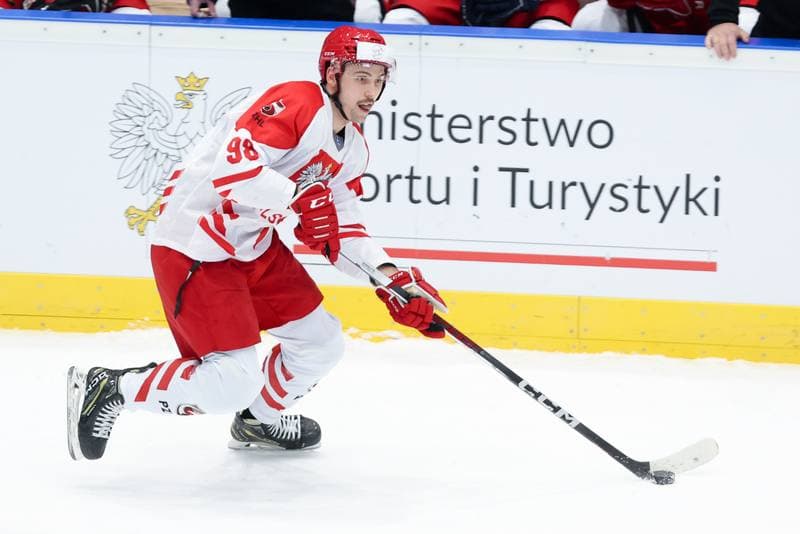 Ice Hockey. Friendly Match. Poland - South Korea. 05.02.2024