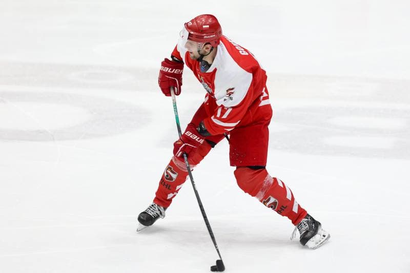 Ice Hockey. Olympic Qualification. Poland - Ukraine. 09.02.2024