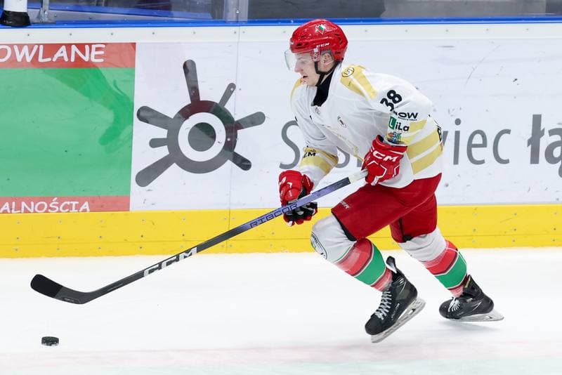 Ice Hockey. Tauron Hokej Liga. Zaglebie Sosnowiec - PZU Podhale Nowy Targ. 14.02.2024