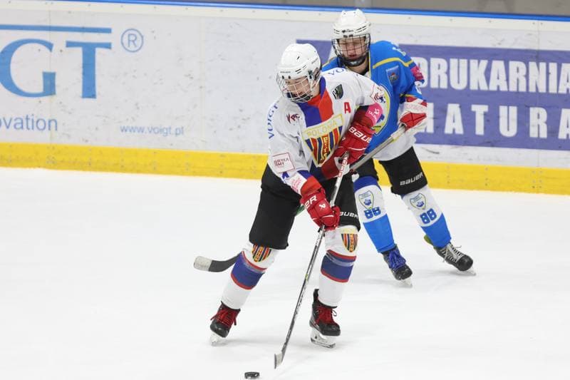 Ice Hockey. Tauron Liga Hokeja Kobiet. Polonia Bytom - UKKH Unia Oswiecim. 24.02.2024