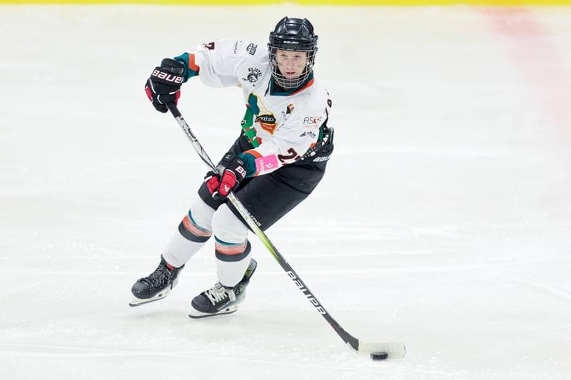 Ice Hockey. Tauron Liga. Kojotki Naprzod Janow - Stoczniowiec Gdansk. 24.02.2024