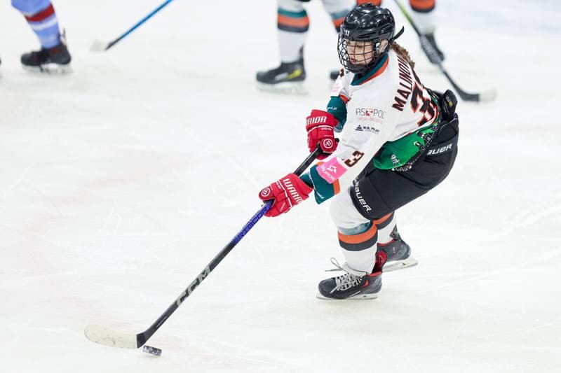 Ice Hockey. Tauron Liga. Kojotki Naprzod Janow - Stoczniowiec Gdansk. 24.02.2024