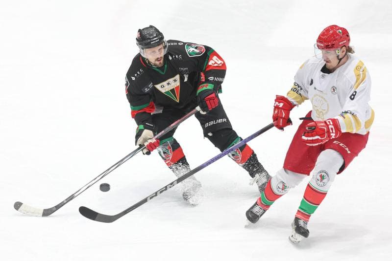 Ice Hockey. Tauron Hokej Liga. Zaglebie Sosnowiec - GKS Tychy. 27.02.2024