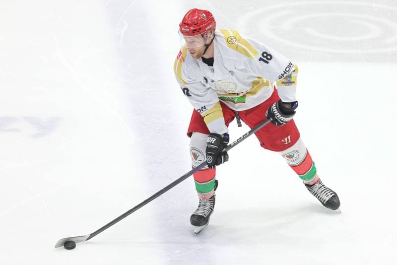 Ice Hockey. Tauron Hokej Liga. Zaglebie Sosnowiec - GKS Tychy. 27.02.2024