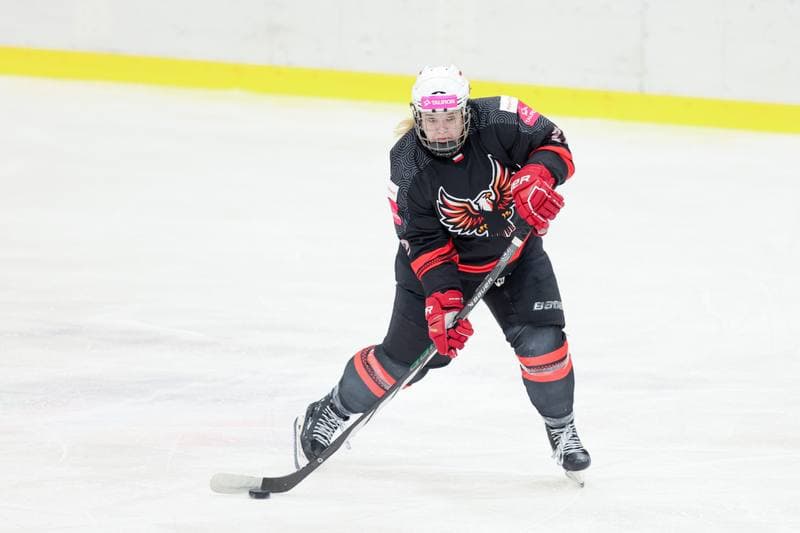 Ice Hockey. EWHL. Tauron Metropolia Silesia - EC Graz Huskies. 02.03.2024