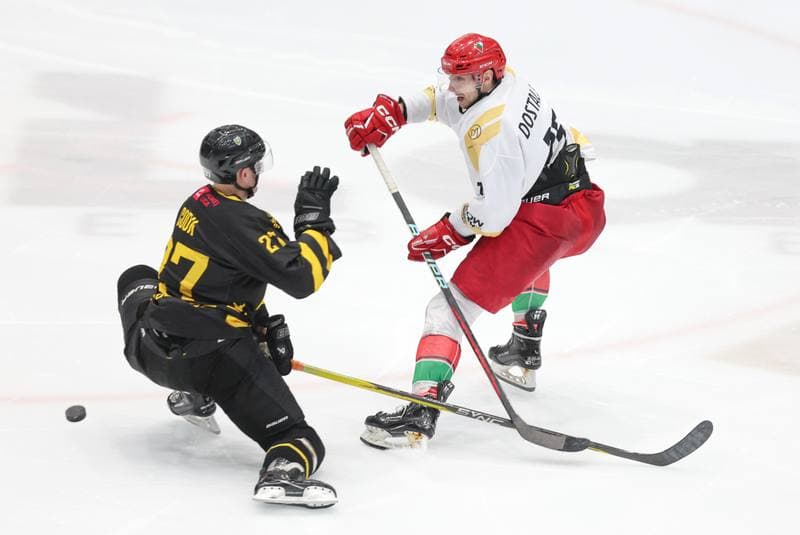 Ice Hockey. Tauron Hokej Liga. Zaglebie Sosnowiec - GKS Katowice. 06.03.2024