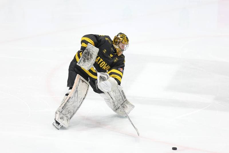 Ice Hockey. Tauron Hokej Liga. Zaglebie Sosnowiec - GKS Katowice. 06.03.2024