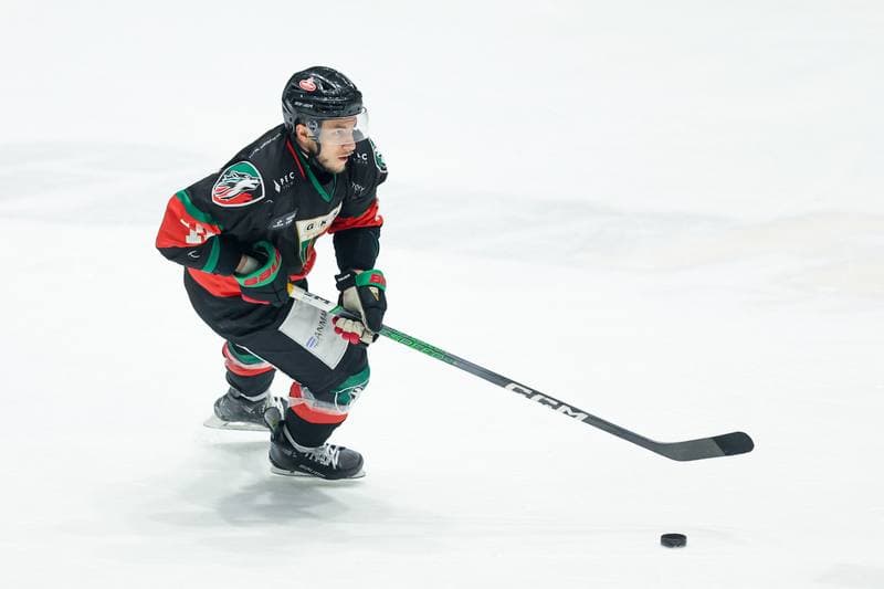 Ice Hockey. Tauron Hokej Liga. Re-Plast Unia Oswiecim - GKS Tychy. 18.03.2024