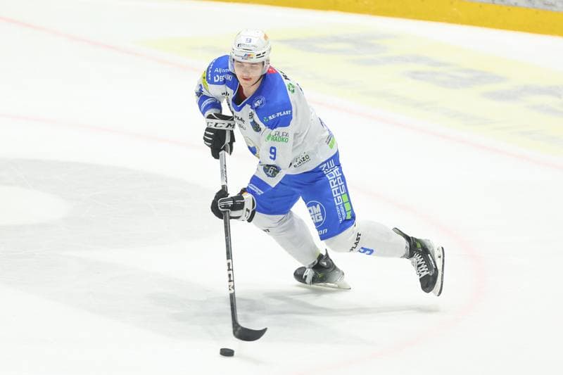 Ice Hockey. Tauron Hokej Liga. Re-Plast Unia Oswiecim - GKS Katowice. 07.04.2024