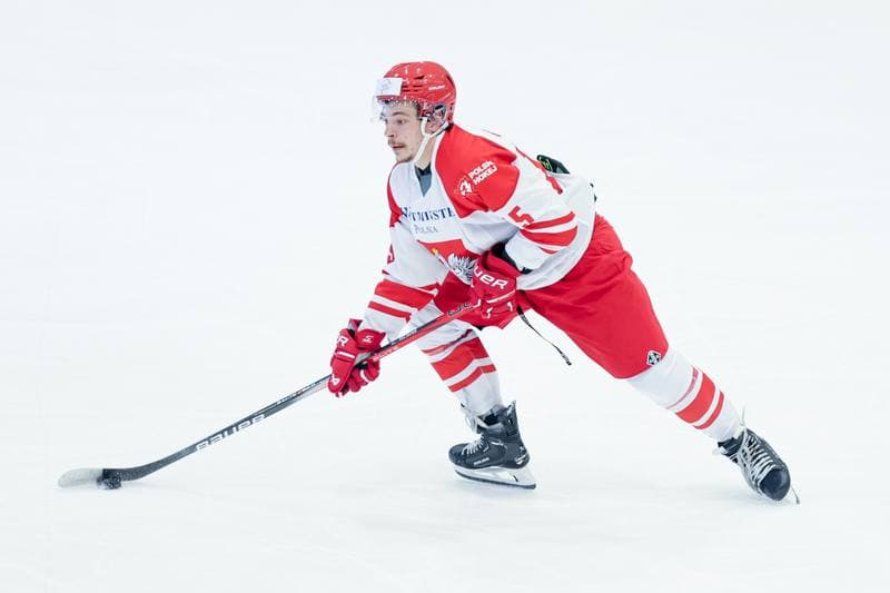 Ice Hockey. Friendly Match. Poland - Hungary. 12.04.2024