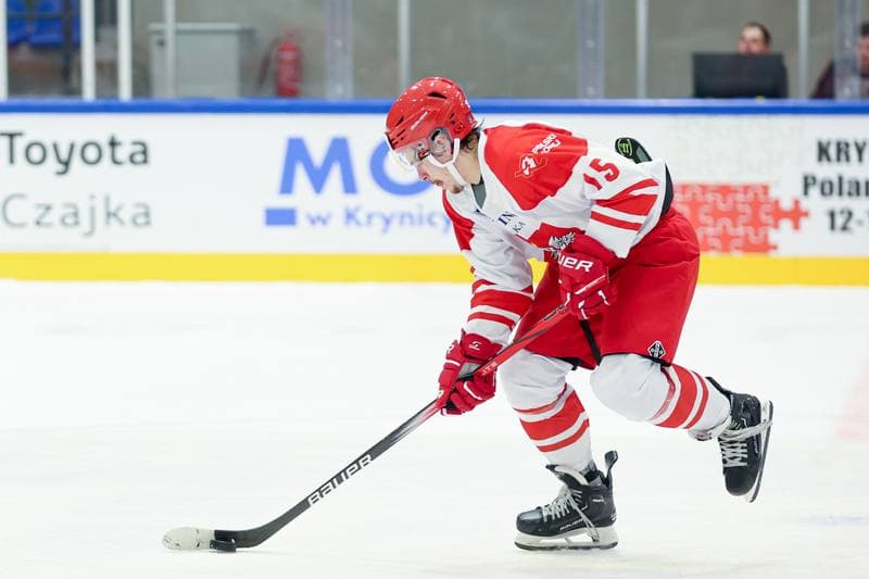 Ice Hockey. Friendly Match. Poland - Hungary. 12.04.2024