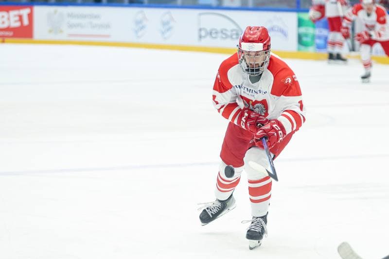 Ice Hockey. Friendly Match. Poland - Hungary. 13.04.2024