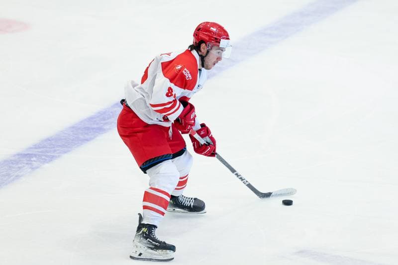 Ice Hockey. Friendly Match. Poland - Hungary. 13.04.2024