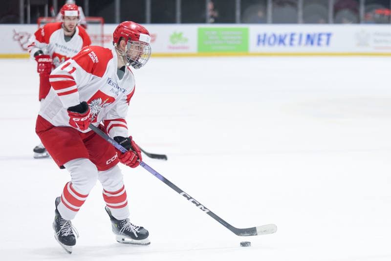 Ice Hockey. Friendly Match. Poland - Slovenia. 18.04.2024