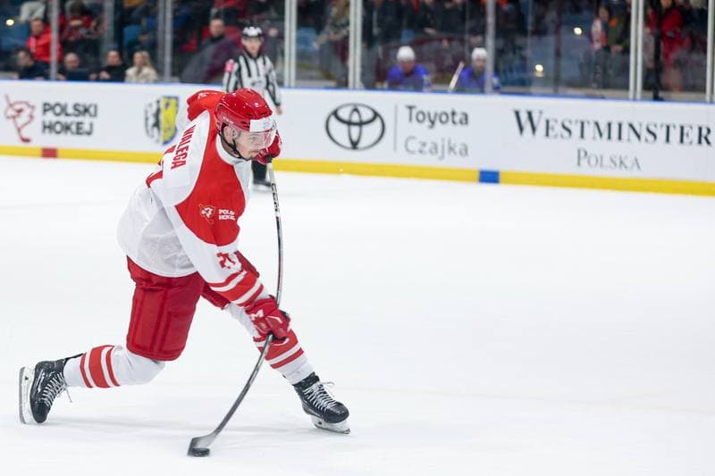 Ice Hockey. Friendly Match. Poland - Slovenia. 19.04.2024