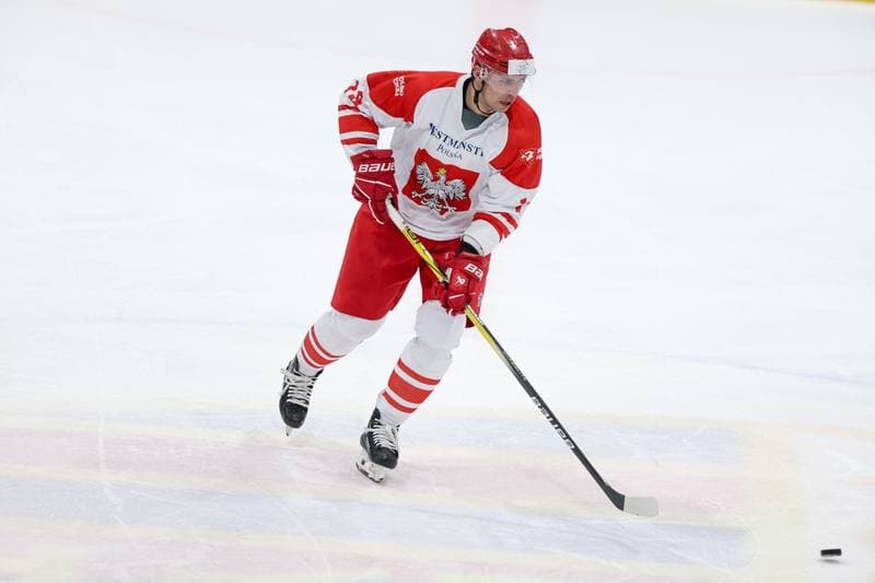 Ice Hockey. Friendly Match. Poland - Slovenia. 19.04.2024