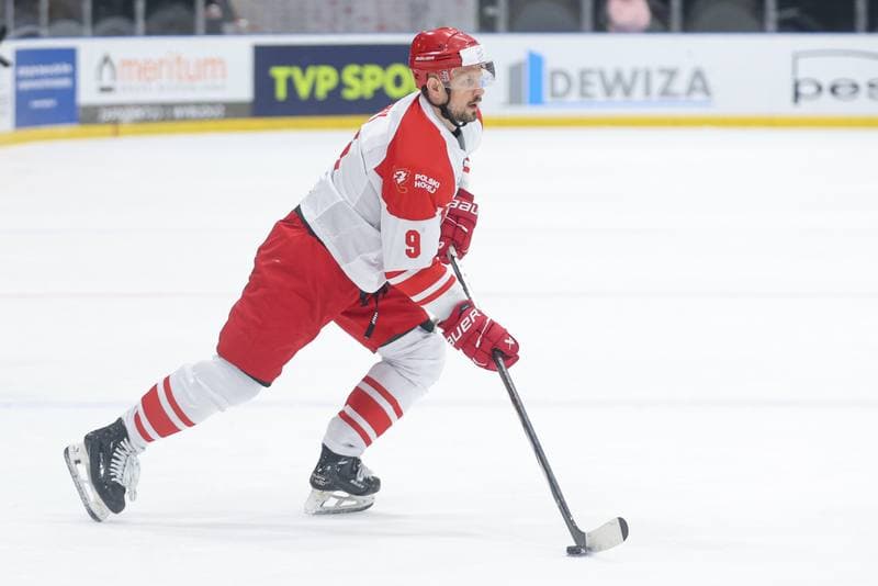 Ice Hockey. Friendly Match. Poland - Slovenia. 19.04.2024